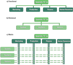 Marketing Organization Structure: Navigating the Blueprint