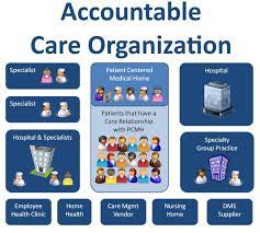Private Accountable Care Organizations