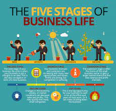 Stages of a Business