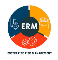 Enterprise Risk Management Solution